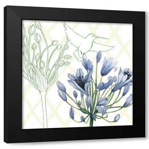 Hummingbird Dance IV Black Modern Wood Framed Art Print with Double Matting by Popp, Grace