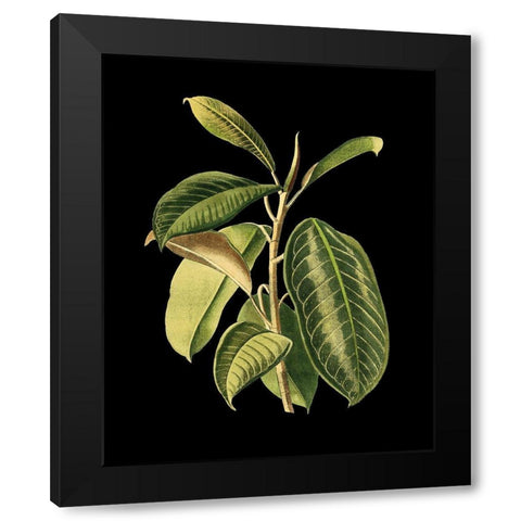 Custom Green Leaves on Black I (LG) Black Modern Wood Framed Art Print with Double Matting by Vision Studio