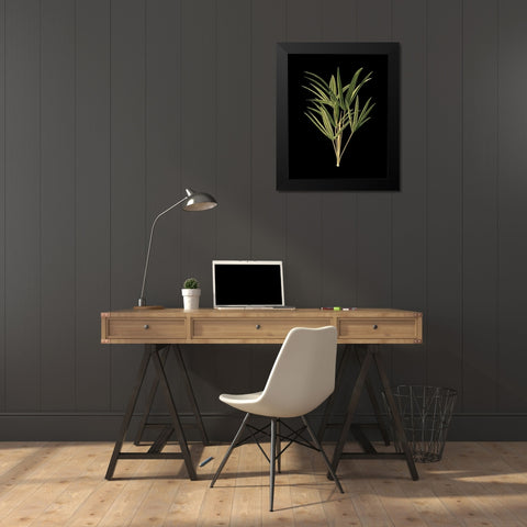 Custom Green Leaves on Black II (LG) Black Modern Wood Framed Art Print by Vision Studio