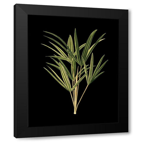 Custom Green Leaves on Black II (LG) Black Modern Wood Framed Art Print with Double Matting by Vision Studio