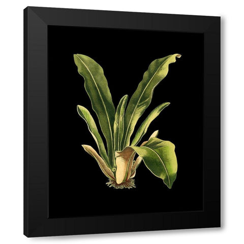 Custom Green Leaves on Black III (LG) Black Modern Wood Framed Art Print by Vision Studio