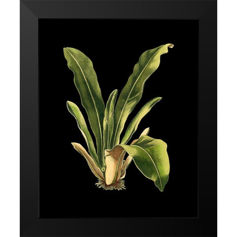 Custom Green Leaves on Black III (LG) Black Modern Wood Framed Art Print by Vision Studio