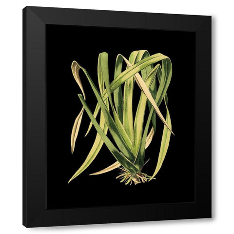 Custom Green Leaves on Black IV (LG) Black Modern Wood Framed Art Print with Double Matting by Vision Studio