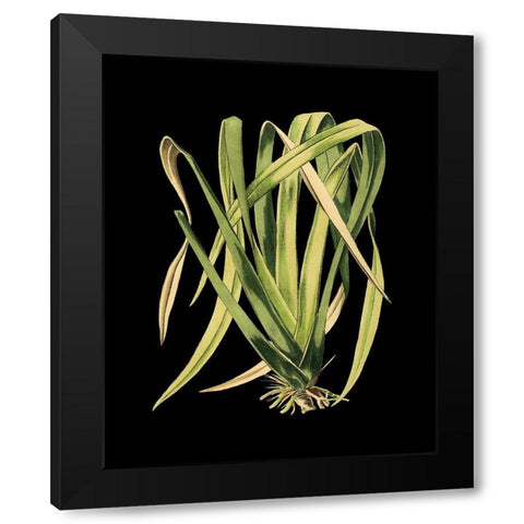 Custom Green Leaves on Black IV (LG) Black Modern Wood Framed Art Print by Vision Studio