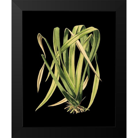 Custom Green Leaves on Black IV (LG) Black Modern Wood Framed Art Print by Vision Studio