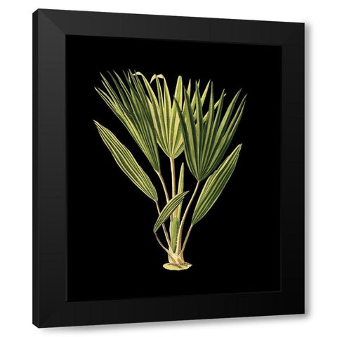 Custom Green Leaves on Black V (LG) Black Modern Wood Framed Art Print with Double Matting by Vision Studio