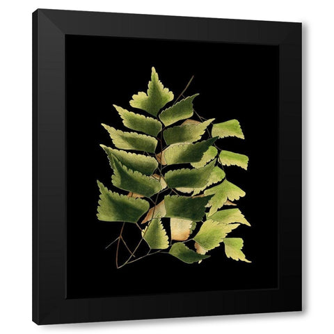 Custom Green Leaves on Black VI (LG) Black Modern Wood Framed Art Print with Double Matting by Vision Studio