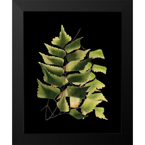 Custom Green Leaves on Black VI (LG) Black Modern Wood Framed Art Print by Vision Studio