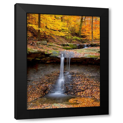Blue Hen Falls Black Modern Wood Framed Art Print with Double Matting by Burchett, P.H.