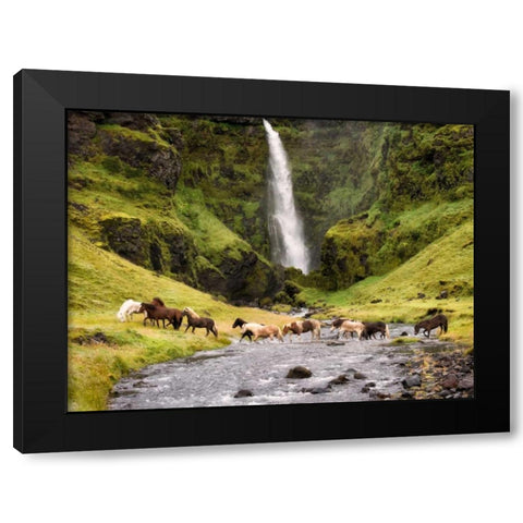 Waterfall Horses II Black Modern Wood Framed Art Print by Burchett, P.H.