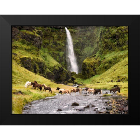 Waterfall Horses II Black Modern Wood Framed Art Print by Burchett, P.H.