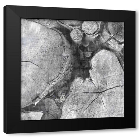 Logging Light I Black Modern Wood Framed Art Print by Butler, John