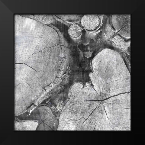 Logging Light I Black Modern Wood Framed Art Print by Butler, John