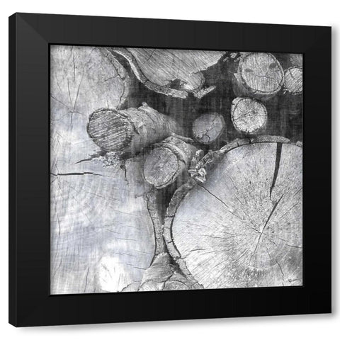 Logging Light III Black Modern Wood Framed Art Print with Double Matting by Butler, John