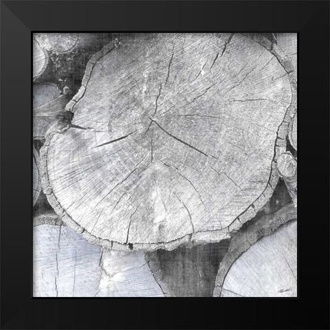 Logging Light IV Black Modern Wood Framed Art Print by Butler, John