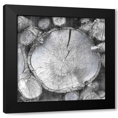 Logging Light VI Black Modern Wood Framed Art Print with Double Matting by Butler, John