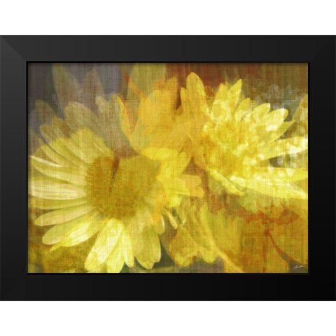 Daisy Daisy II Black Modern Wood Framed Art Print by Butler, John