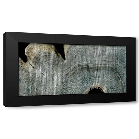 Gray Ghost I Black Modern Wood Framed Art Print with Double Matting by Butler, John