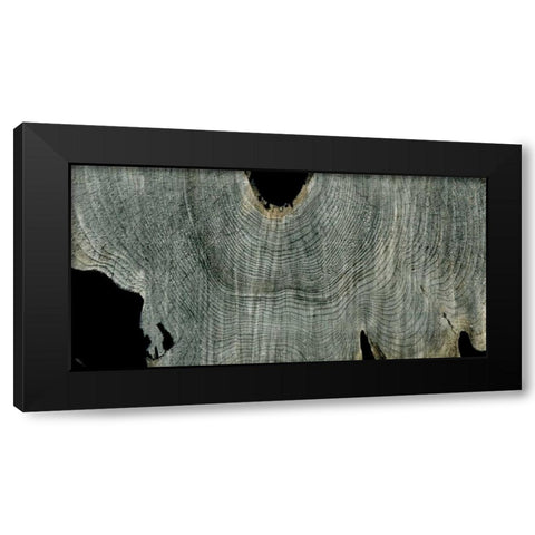 Gray Ghost II Black Modern Wood Framed Art Print by Butler, John