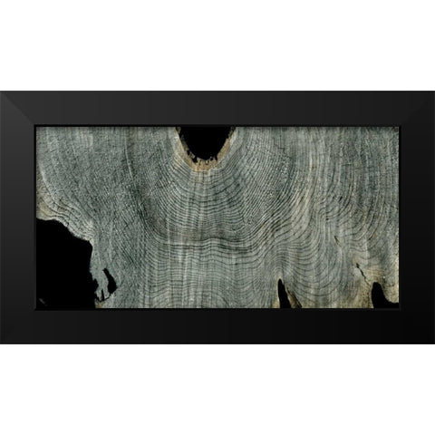 Gray Ghost II Black Modern Wood Framed Art Print by Butler, John