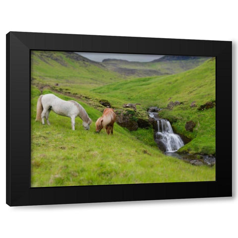 Icelandic Horses I Black Modern Wood Framed Art Print by Burchett, P.H.