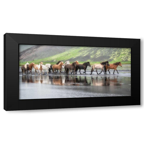Icelandic Horses XIV Black Modern Wood Framed Art Print by Burchett, P.H.