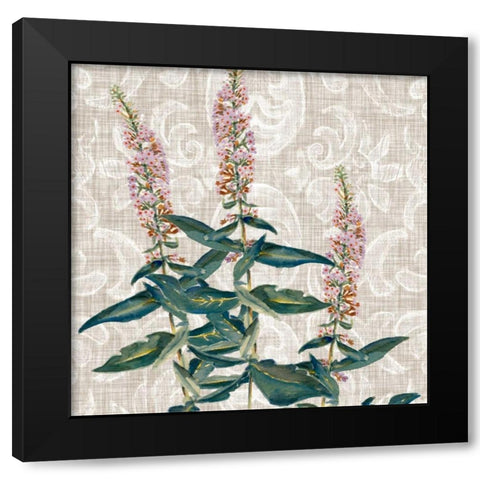 Flower Study Collection D Black Modern Wood Framed Art Print with Double Matting by Miller, Dianne