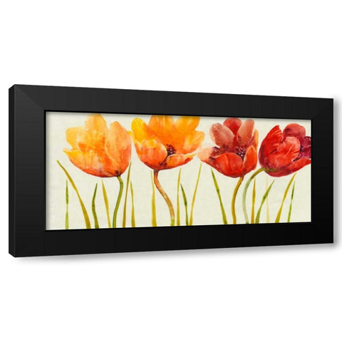 Row of Tulips I Black Modern Wood Framed Art Print with Double Matting by OToole, Tim