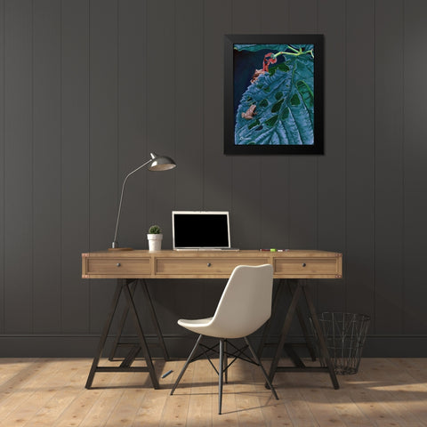 Spring Peepers I Black Modern Wood Framed Art Print by Szatkowski, Fred