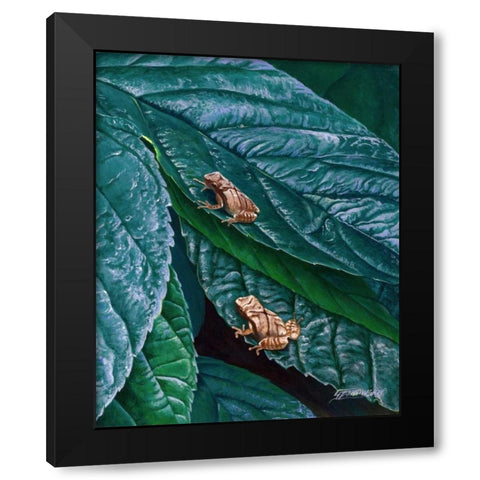 Spring Peepers II Black Modern Wood Framed Art Print by Szatkowski, Fred