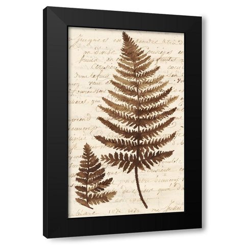 Ferns And Ledgers I Black Modern Wood Framed Art Print by McCavitt, Naomi