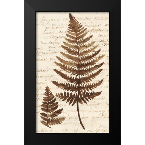 Ferns And Ledgers I Black Modern Wood Framed Art Print by McCavitt, Naomi