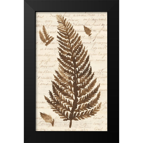 Ferns And Ledgers II Black Modern Wood Framed Art Print by McCavitt, Naomi