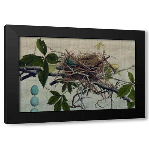 Nesting I Black Modern Wood Framed Art Print with Double Matting by Butler, John