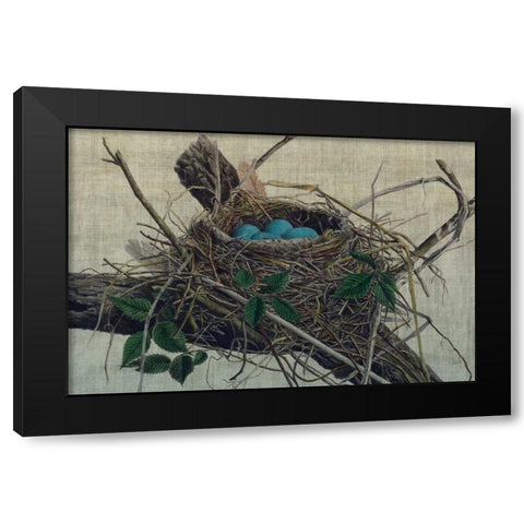 Nesting II Black Modern Wood Framed Art Print by Butler, John