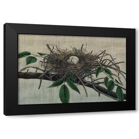 Nesting III Black Modern Wood Framed Art Print by Butler, John