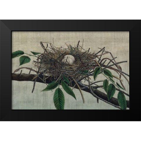 Nesting III Black Modern Wood Framed Art Print by Butler, John