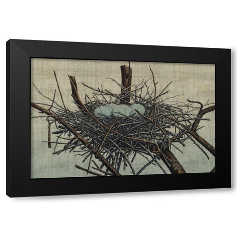 Nesting IV Black Modern Wood Framed Art Print by Butler, John
