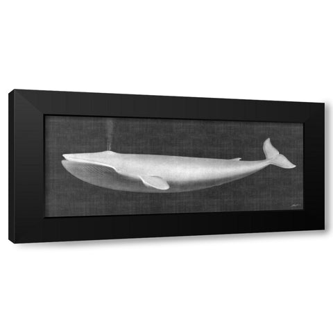 Whale Watching I Black Modern Wood Framed Art Print with Double Matting by Butler, John