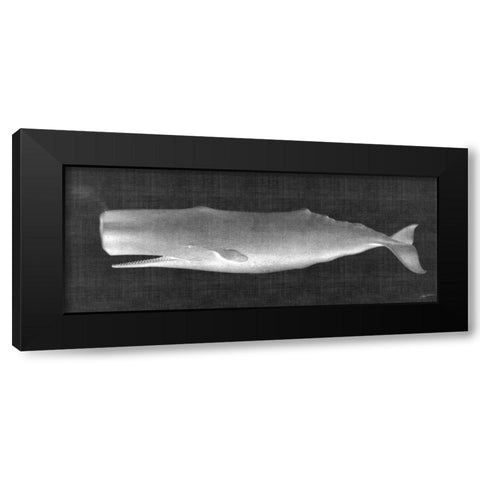 Whale Watching II Black Modern Wood Framed Art Print by Butler, John