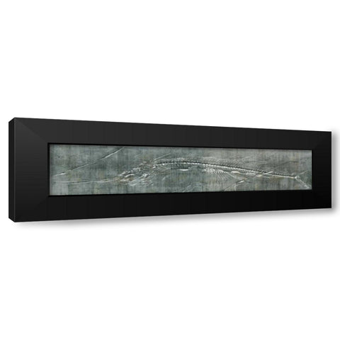 Fossil Imprint I Black Modern Wood Framed Art Print by Butler, John