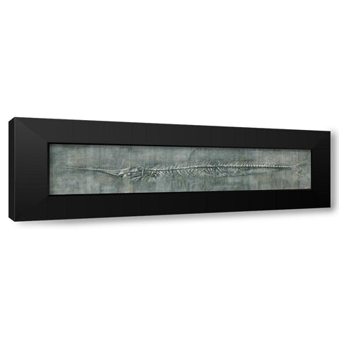 Fossil Imprint II Black Modern Wood Framed Art Print by Butler, John