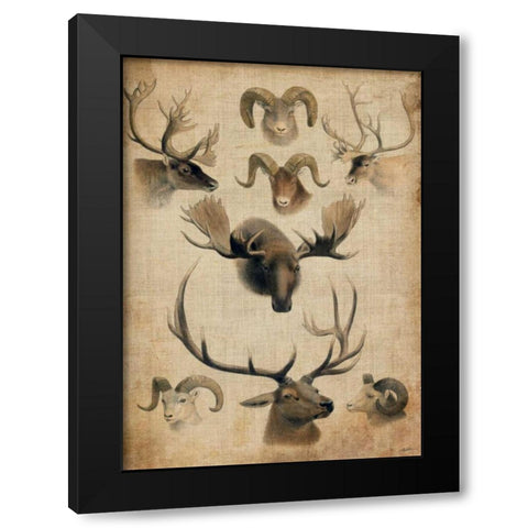 American Trophy I Black Modern Wood Framed Art Print with Double Matting by Butler, John