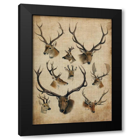 American Trophy II Black Modern Wood Framed Art Print with Double Matting by Butler, John