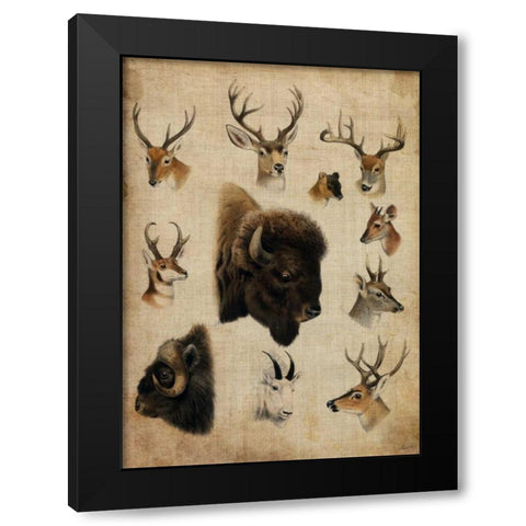 American Trophy III Black Modern Wood Framed Art Print with Double Matting by Butler, John