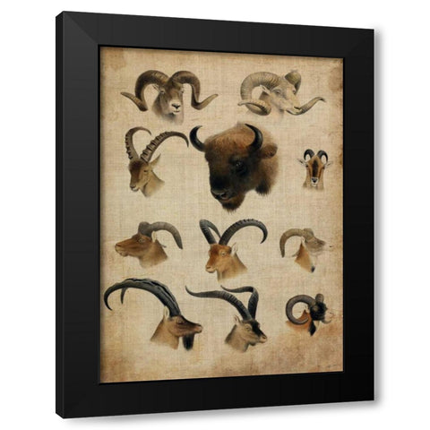 American Trophy IV Black Modern Wood Framed Art Print with Double Matting by Butler, John