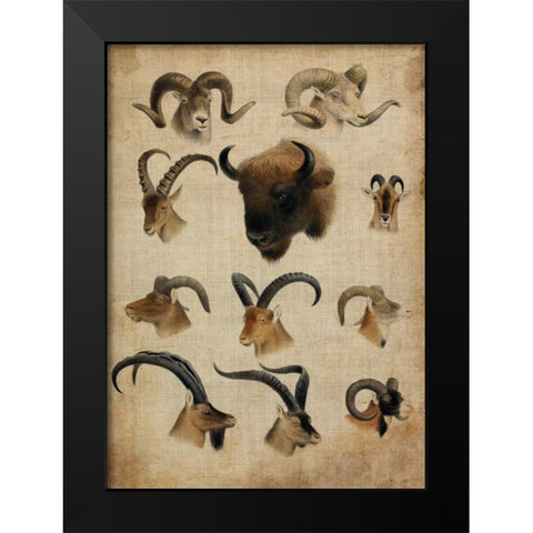 American Trophy IV Black Modern Wood Framed Art Print by Butler, John