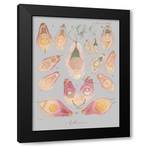 Sea Elements II Black Modern Wood Framed Art Print by Goldberger, Jennifer