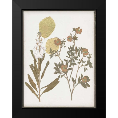 Book-Pressed Flowers I Black Modern Wood Framed Art Print by Goldberger, Jennifer
