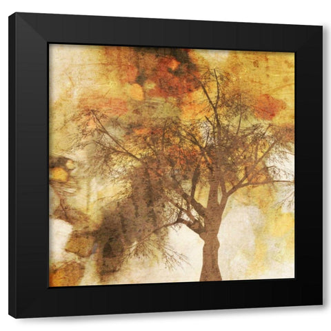Autumn Colored II Black Modern Wood Framed Art Print with Double Matting by Orlov, Irena